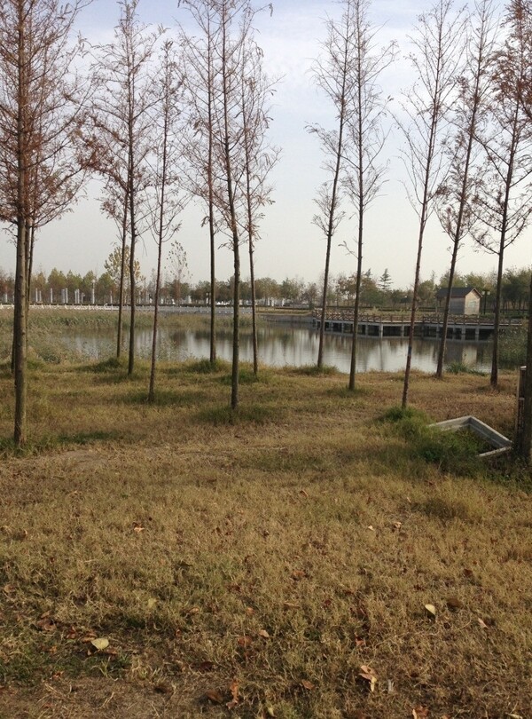 田園湖景圖片