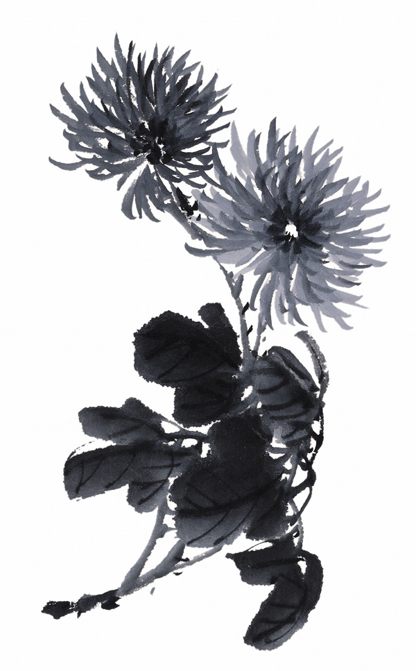 國(guó)畫花