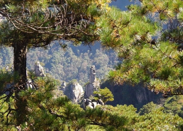 黃山風光黃山旅游黃山美景圖片