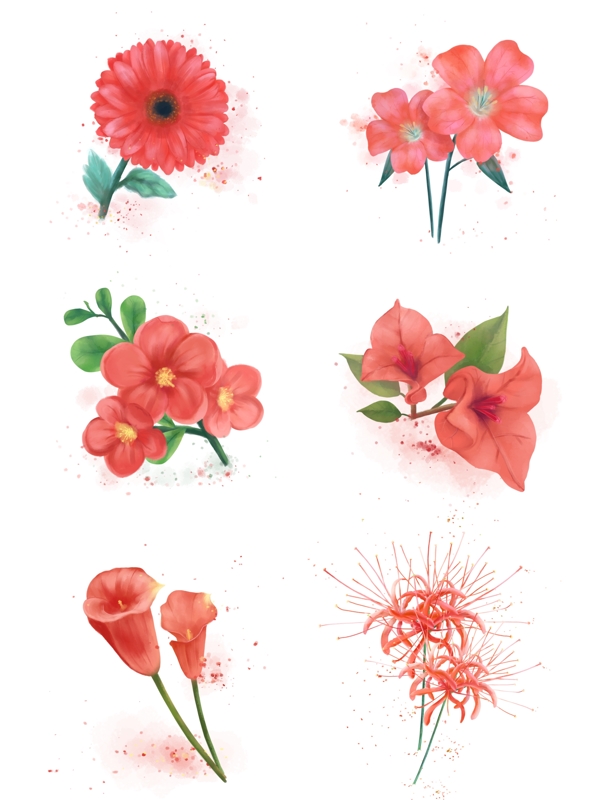 2019年流行色珊瑚红花朵水彩花卉手绘花