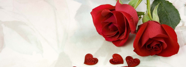rose7