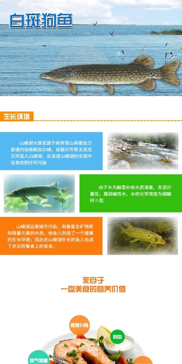 魚淘寶詳情頁