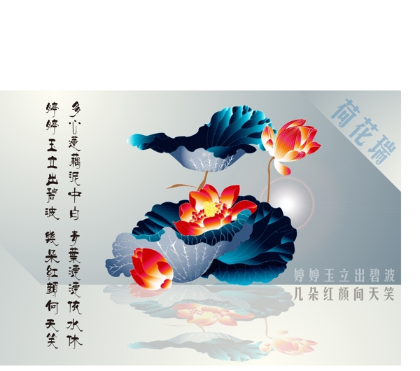 荷花圖片