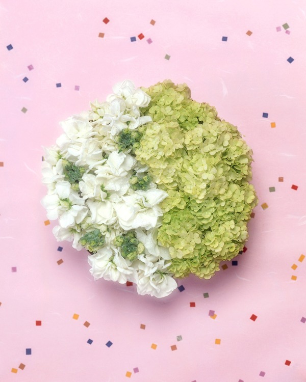 花藝圖片