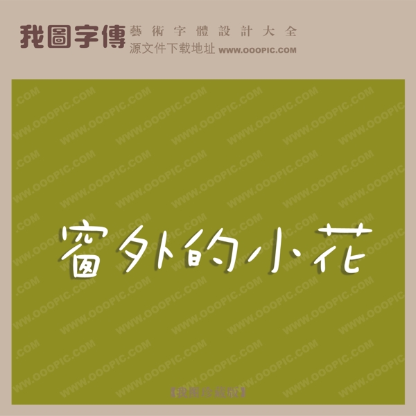 窗外的小花