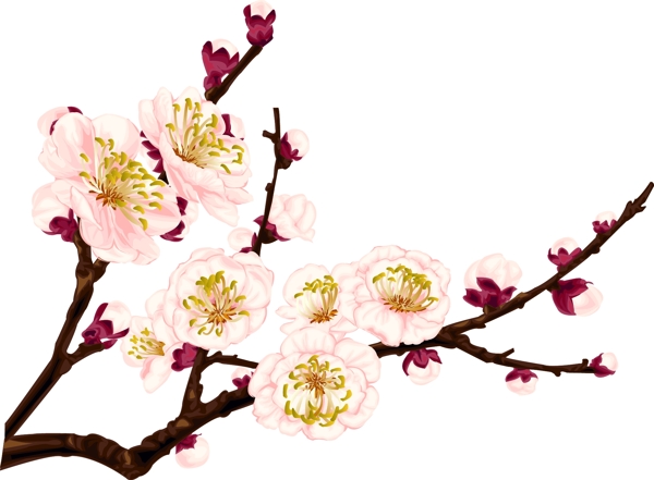 meihua