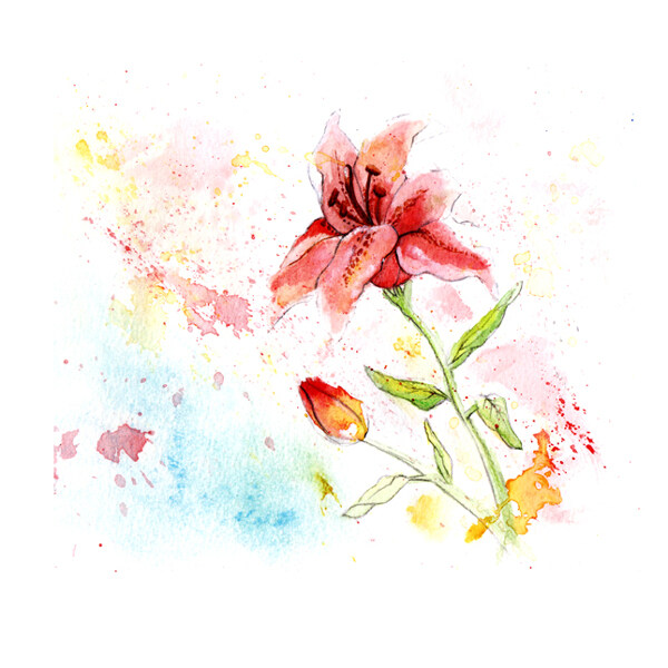 位圖植物寫(xiě)意花卉花朵百合免費(fèi)素材