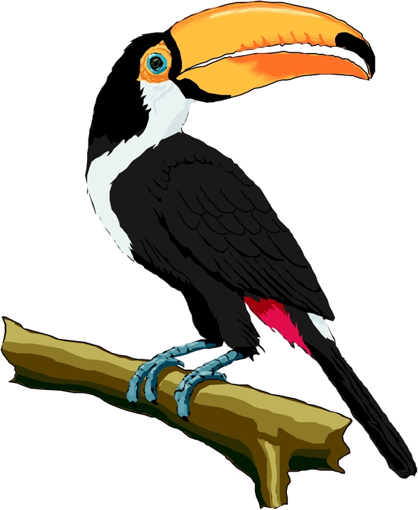 矢量逼真鳥類動物67