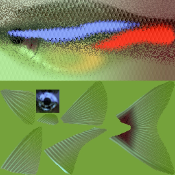 彩色魚3d模型