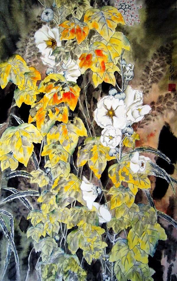 秋芳圖片