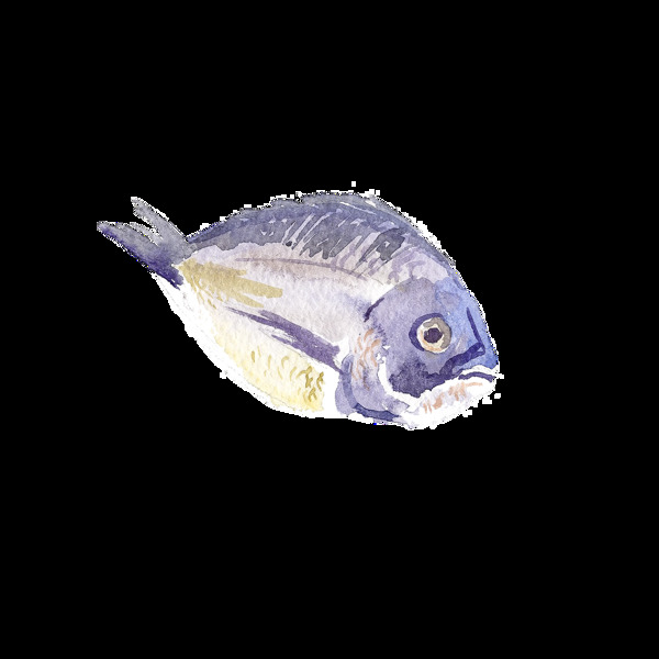 藍(lán)色水彩手繪金魚透明素材