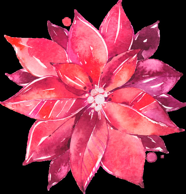 立體紅色花卉png透明素材