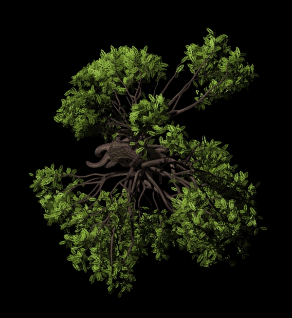 高質(zhì)量鳥瞰商業(yè)素材植物002圖片