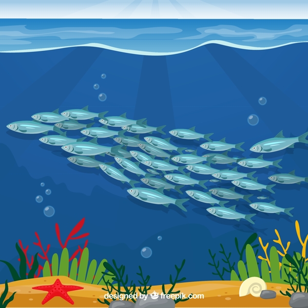 美丽海底银色鱼群图片