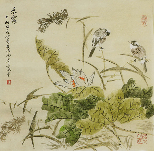 荷花