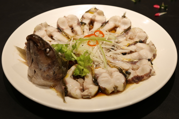 梭魚