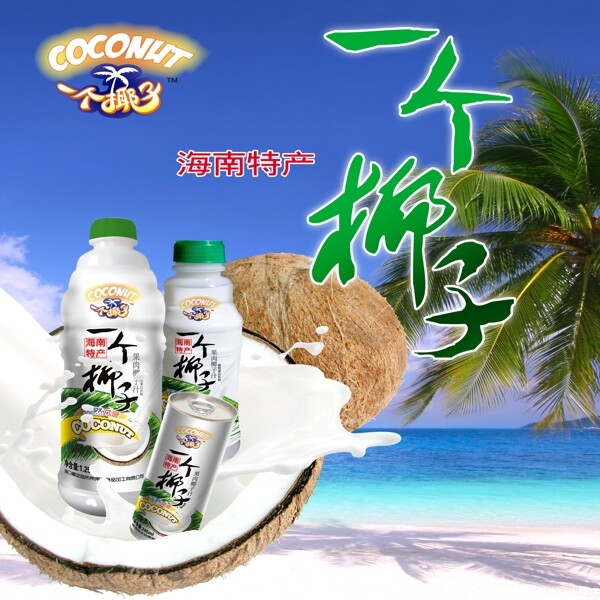 一個椰子圖片
