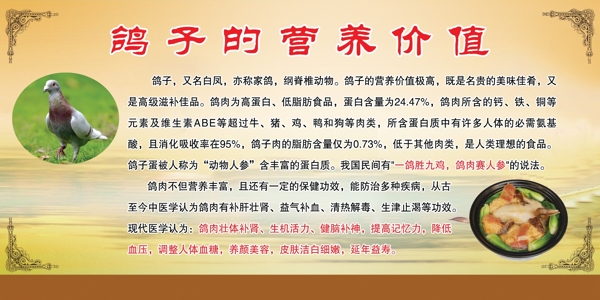 鴿子的營養(yǎng)價(jià)值