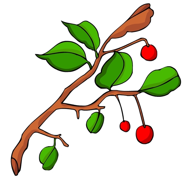 花卉古典插畫