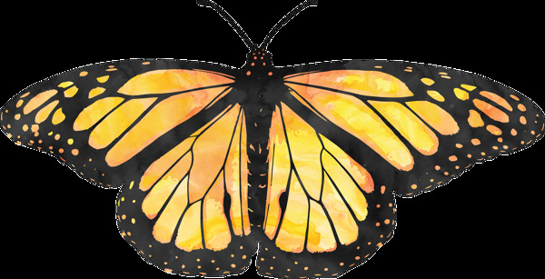 黄翅黑边蝴蝶卡通透明装饰素材
