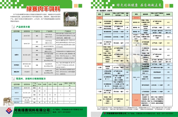 肉羊飼料圖片