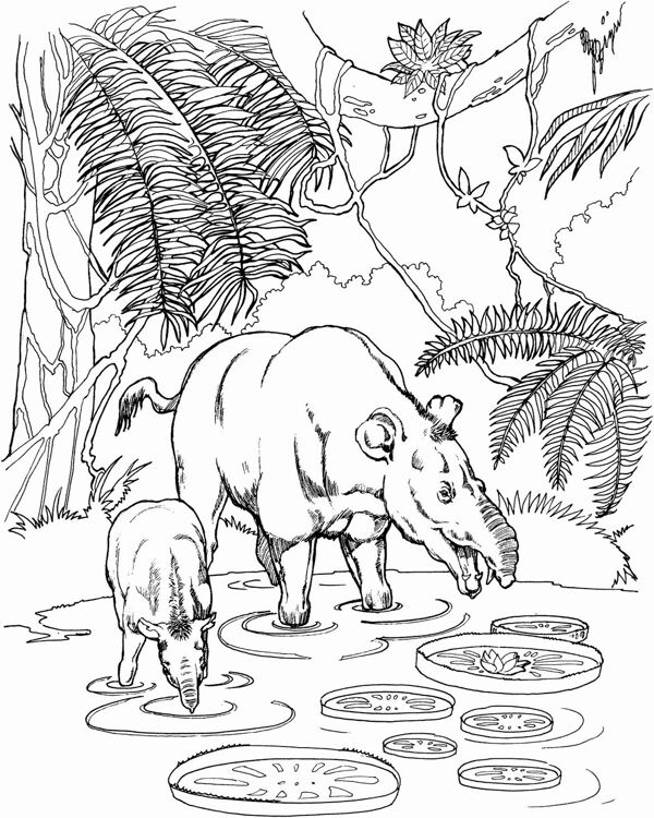 手繪動物畫動物素描