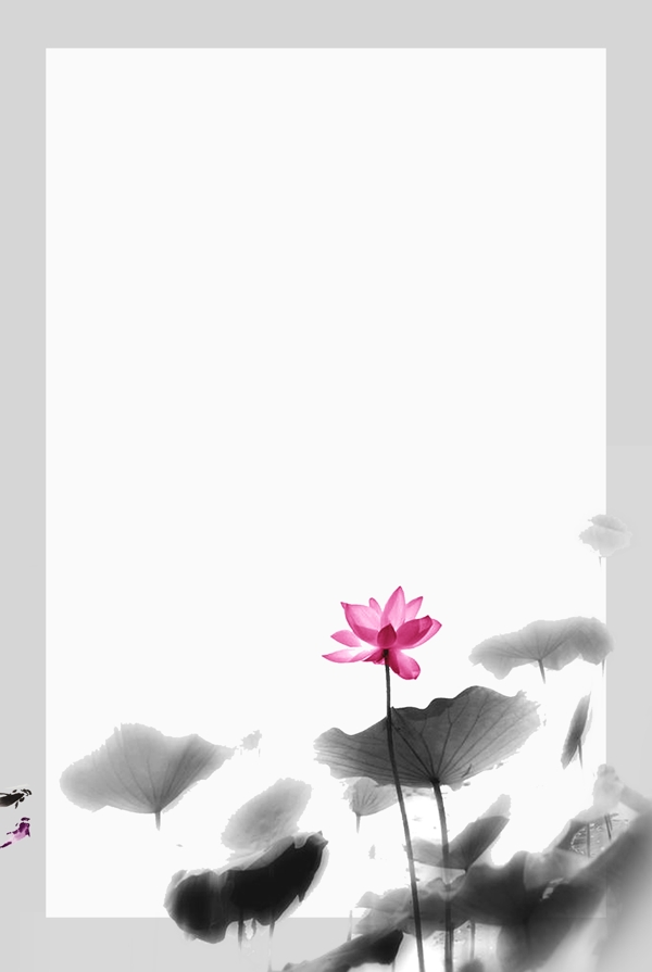 中國風(fēng)荷花