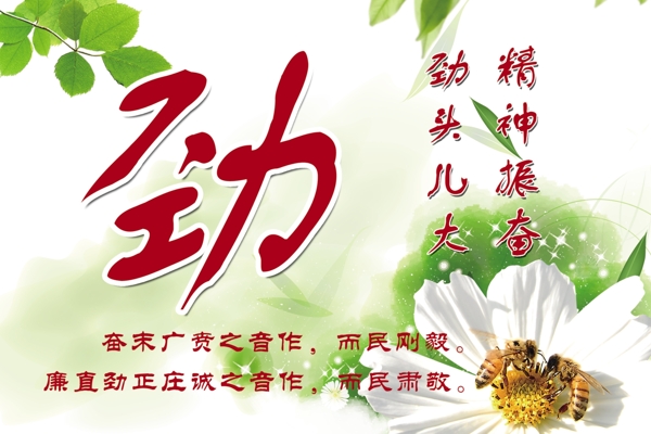 學(xué)校展板圖片