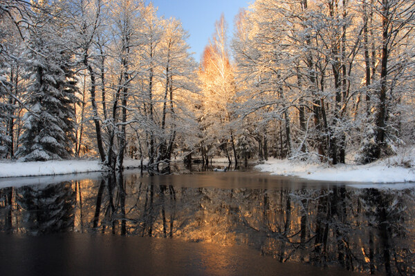 冬天树林湖泊风景