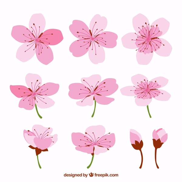 10款彩绘粉色樱花