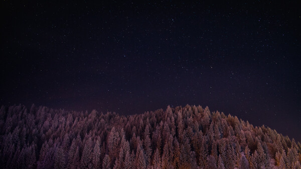夜晚繁星
