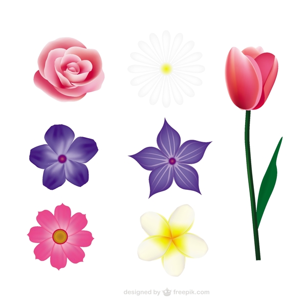 花集