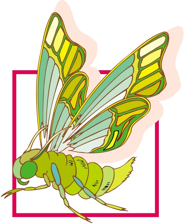 甲虫昆虫矢量素材EPS格式0196