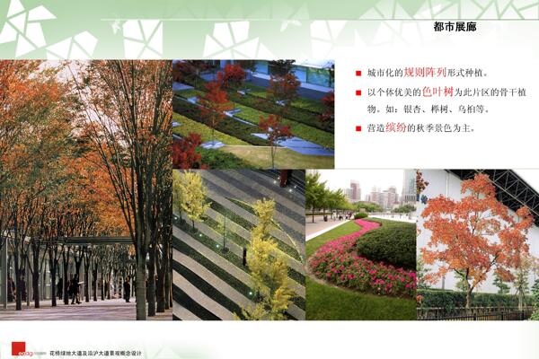 21.花桥绿地大道及沿沪大道景观概念设计终泛亚国际