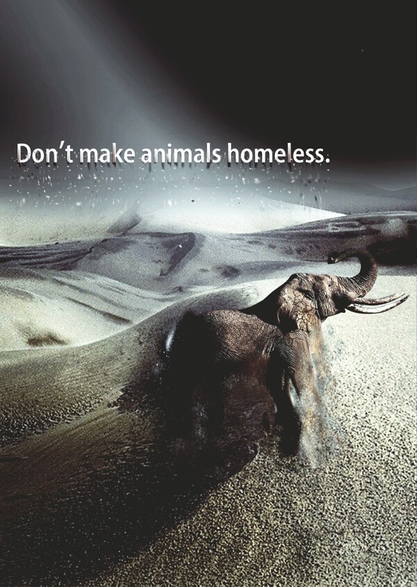 不要让动物无家可归海报