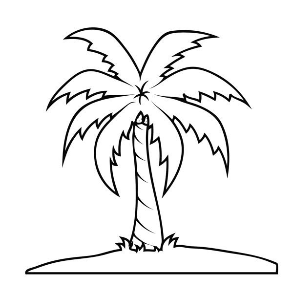 棕櫚樹(shù)的形狀