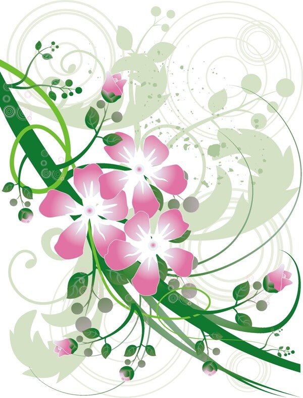 歐美花紋1522矢量EPS