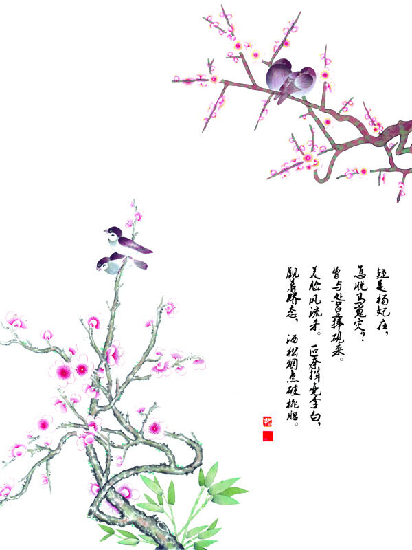 國畫花鳥圖