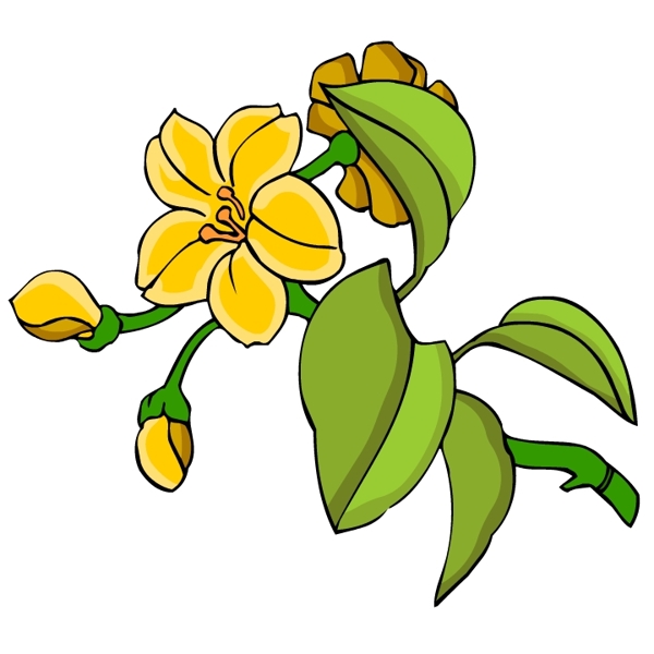 花卉古典插畫