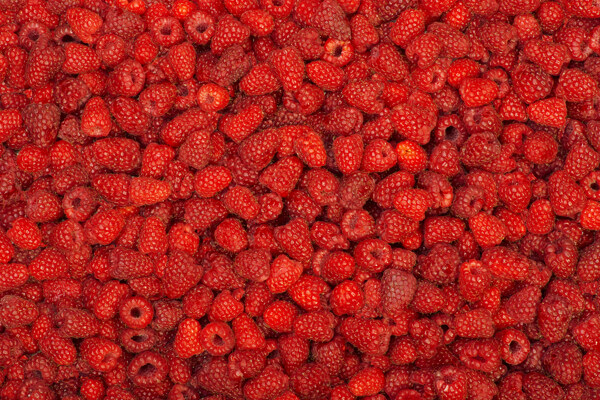 新鲜树莓背景图片