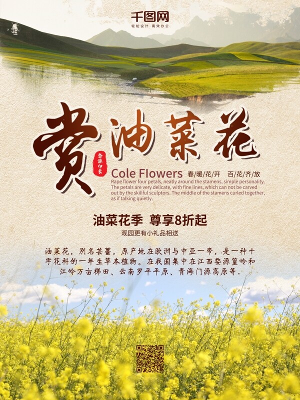 賞油菜花宣傳海報(bào)