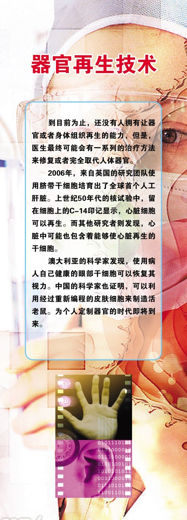 科普器官再生技術(shù)圖片