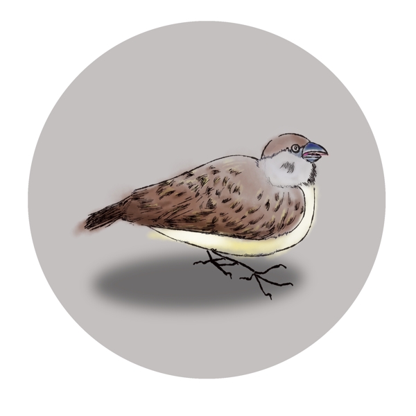 麻雀国画动物鸟类水墨画小鸟棕色免抠元素