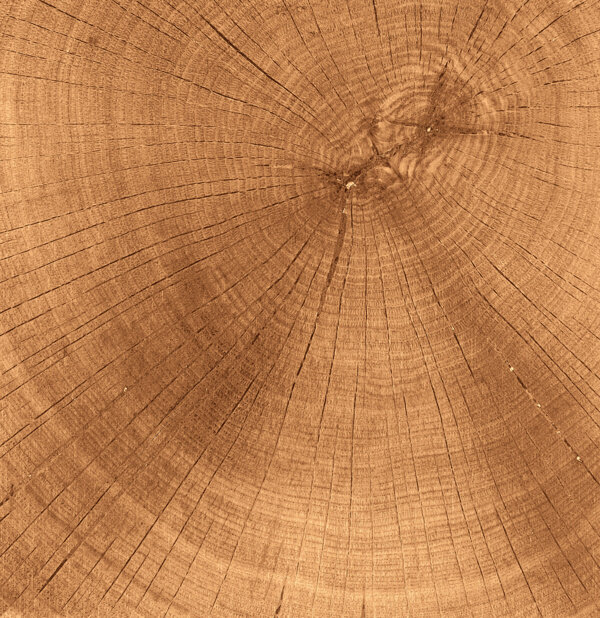 木头年轮纹理图片