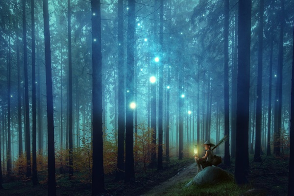 森林幻想神秘创意8k图片素材