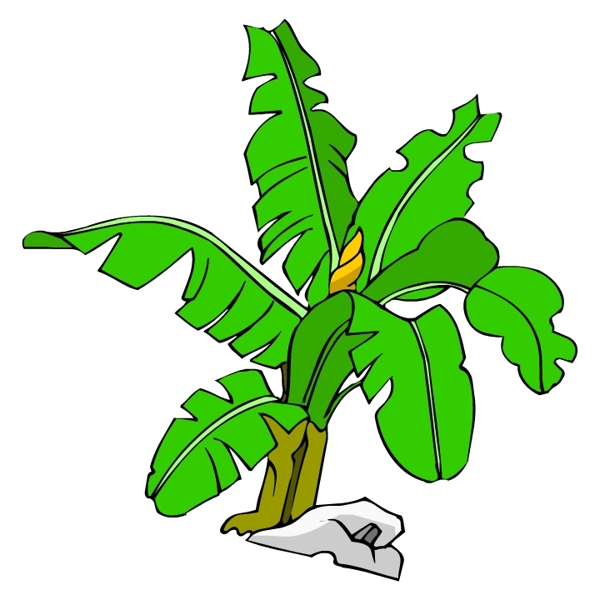 樹木古典插畫