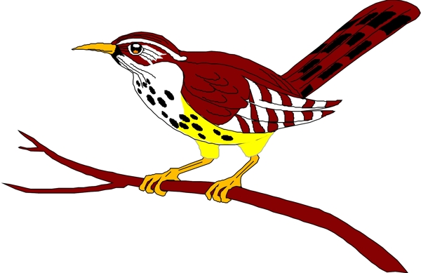 矢量逼真鳥類動物6