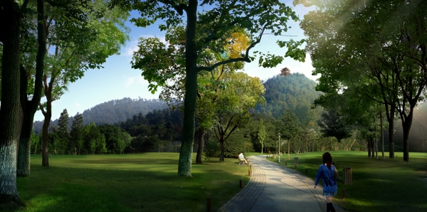 生態(tài)森林公園PSD