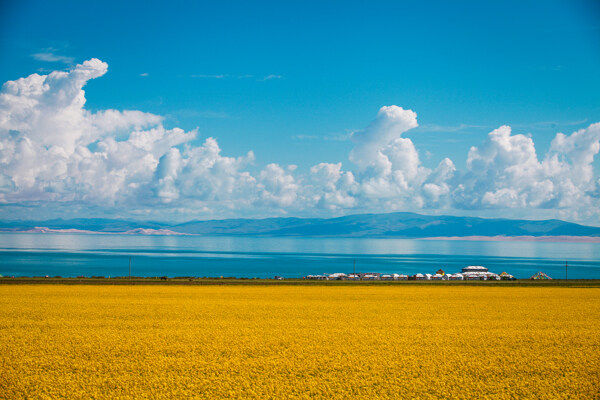 青海湖