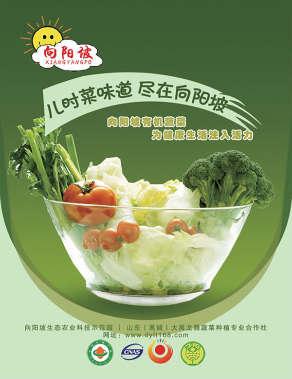 有機(jī)蔬菜宣傳